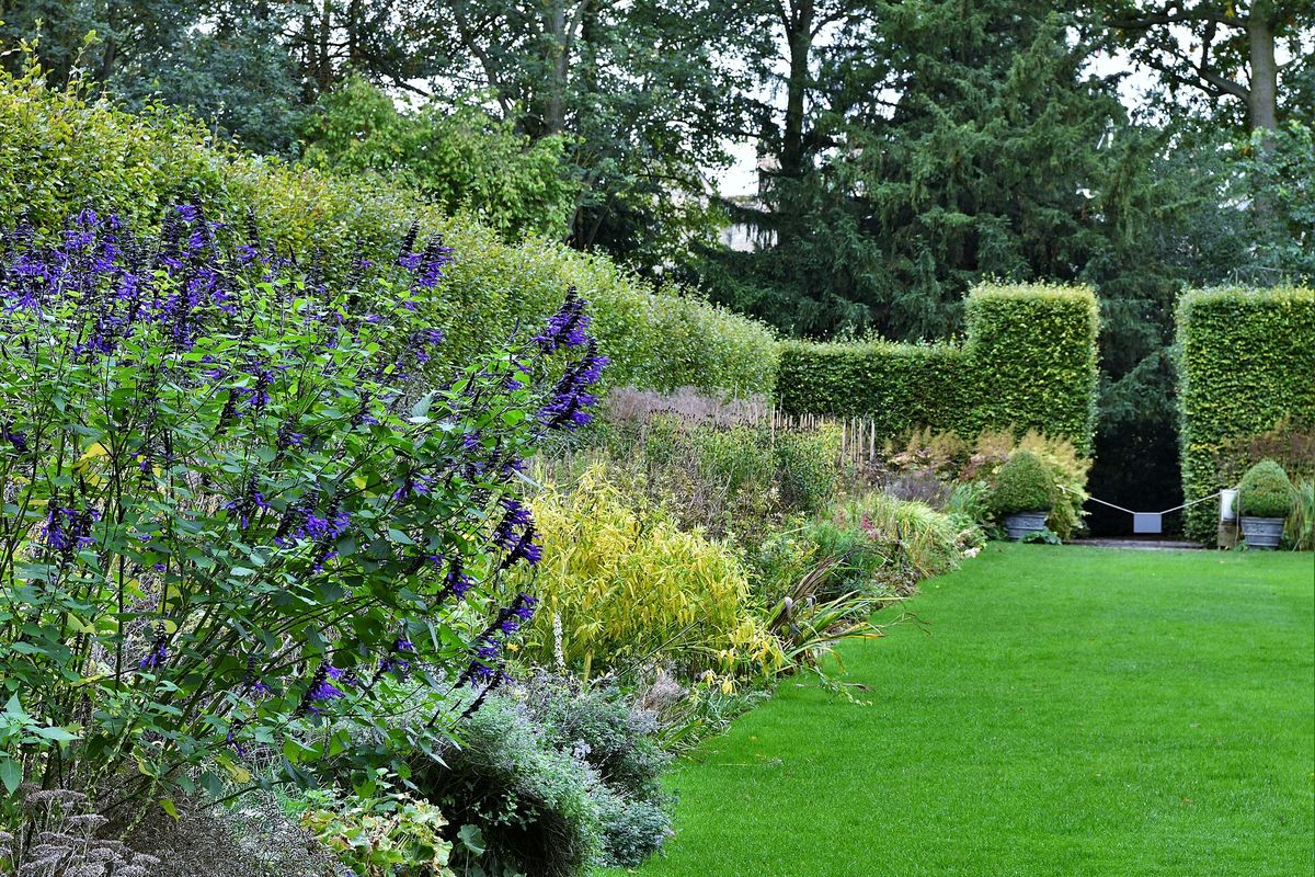 Colourful herbaceous borders along a lawn at Anglesey Abbey