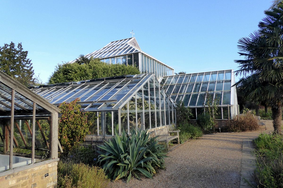 Glasshouses in Cambridge University Botanic Garden with palms and a gravel path
