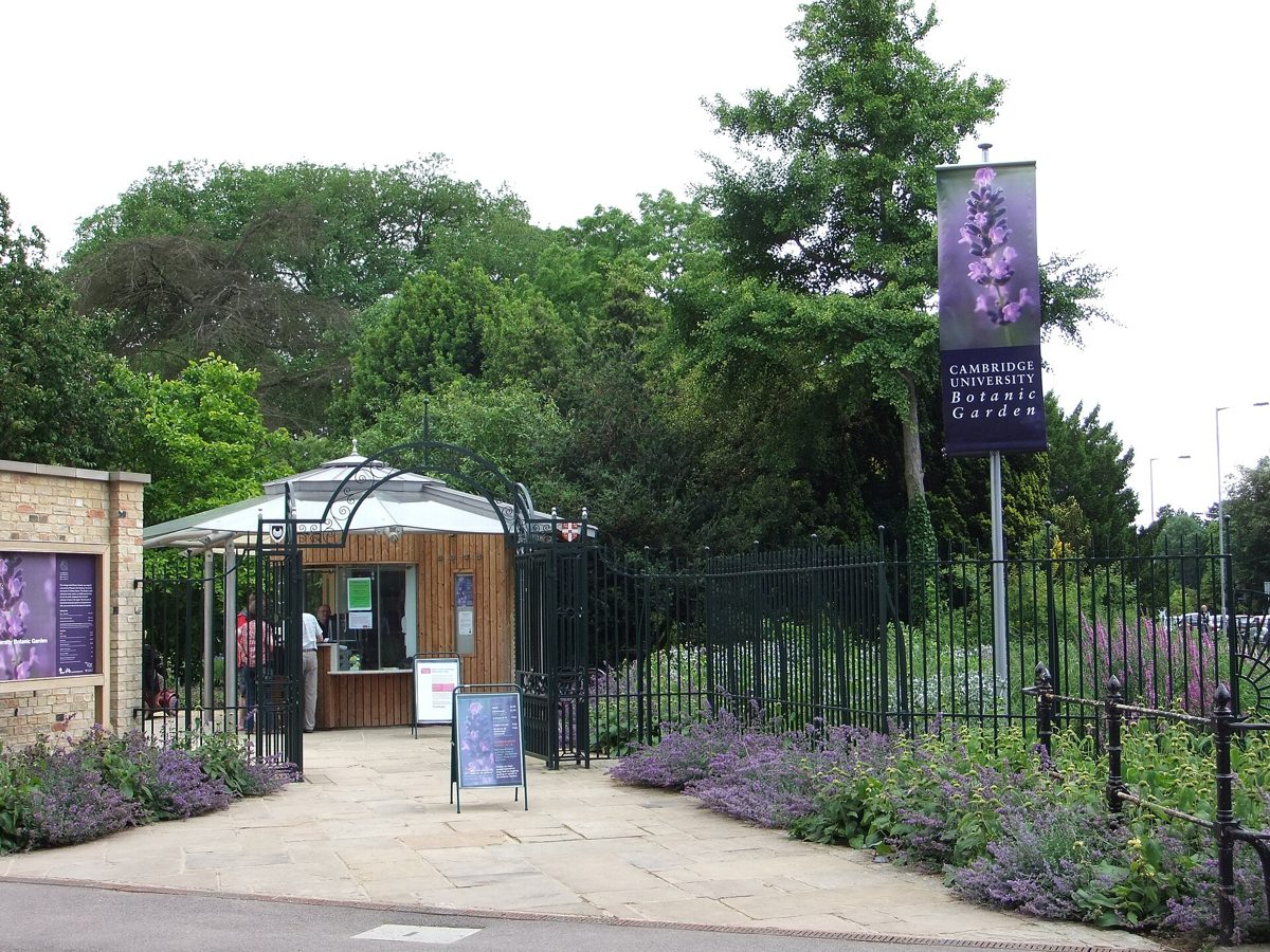 Cambridge parks and green spaces - a member's guide