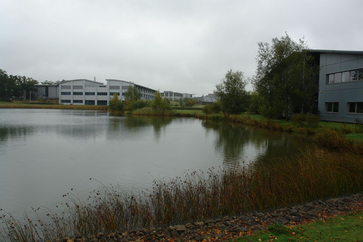 A lake surrounded by trees and low research buildings at Granta Park