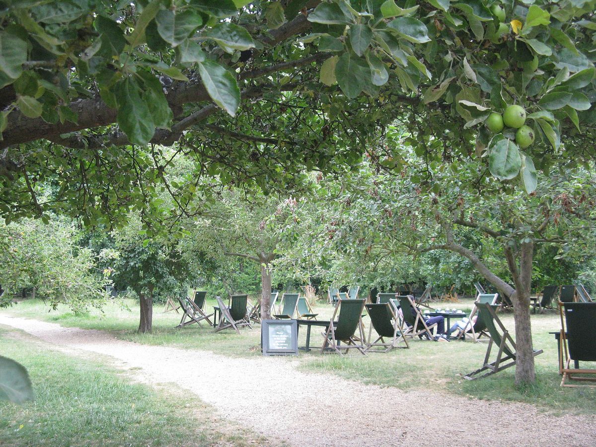 Deckchairs and tables under apple trees at the Orchard Tea Garden in Grantchester