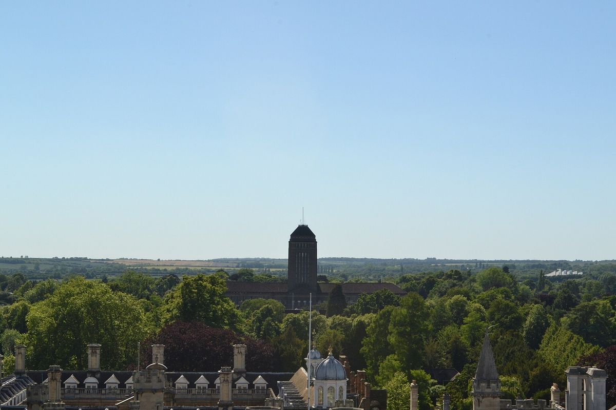 The tower of Cambridge University Library rising above the trees, seen from the tower of Great St Mary's
